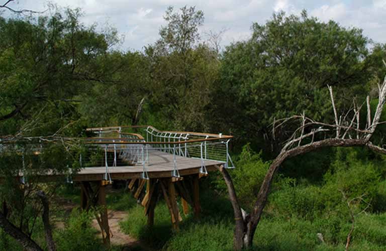 hawk tower Hawk Tower at Bentson-Rio Grande State park, an elevated accessible walking platform with handrails.